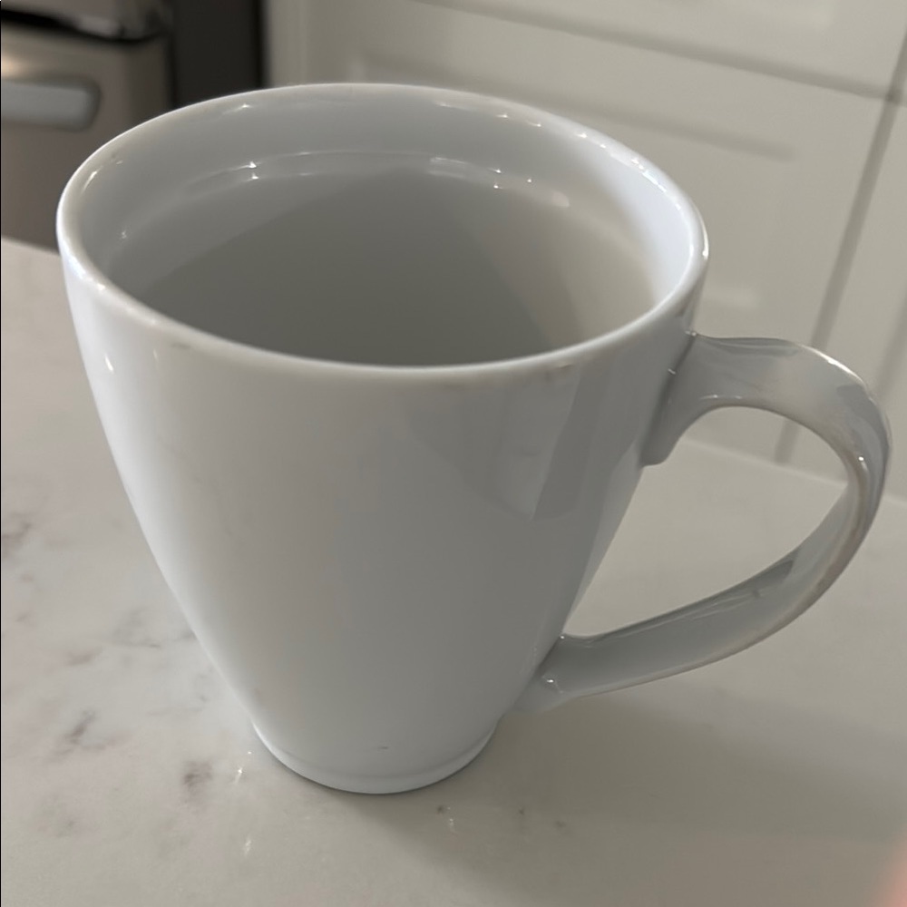Classic White Denby Mug